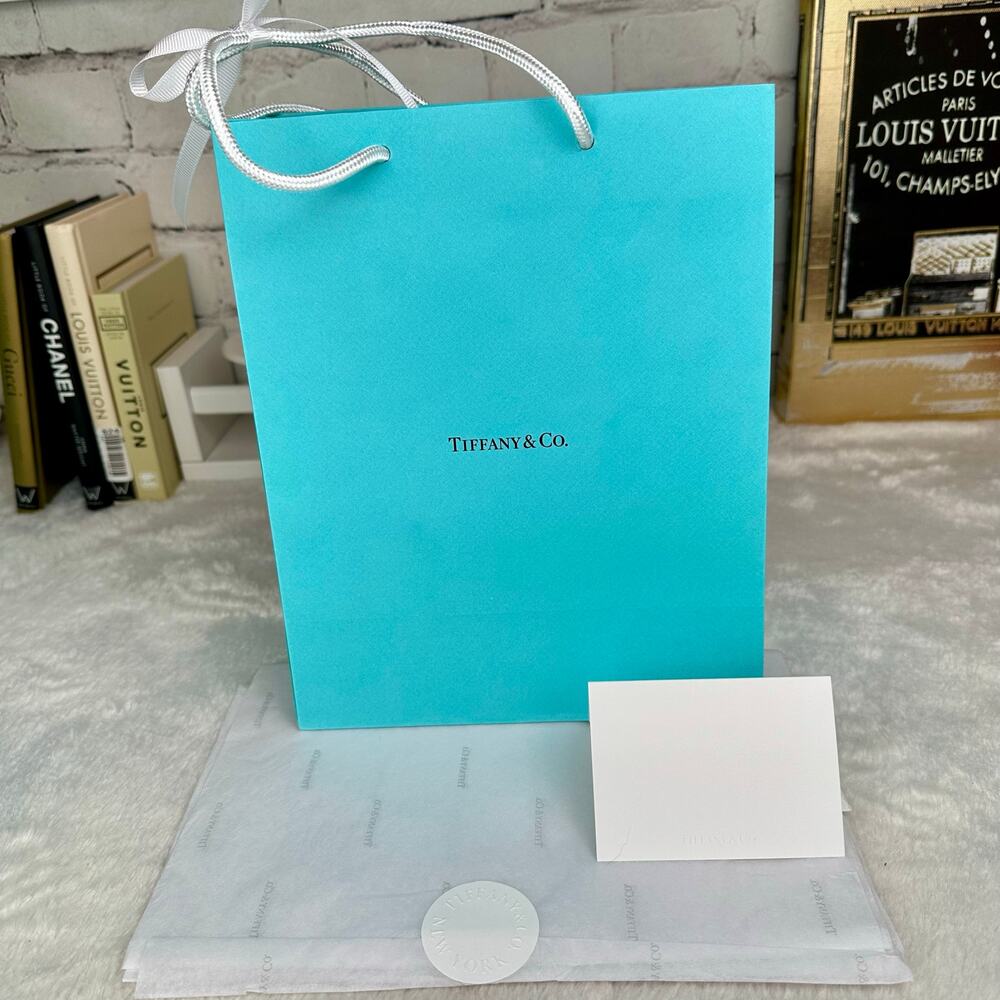 Tiffany & Co Shopping Bag, tissue paper and note card Packaging gift sets